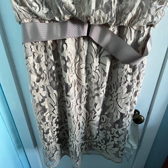 Tadashi Shoji Lace Overlay Dress in Sand, 14 - Picture 9 of 11